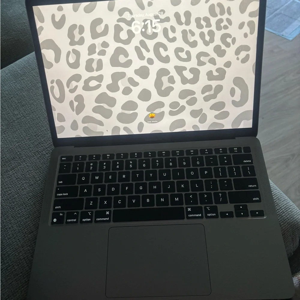 Apple Laptop - Sleek Gray Finish